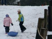 Snow on Mountain Picture 3