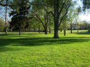 McCurdy Park Ground Picture 5
