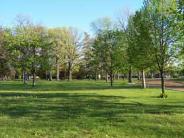 McCurdy Park Ground Picture 6